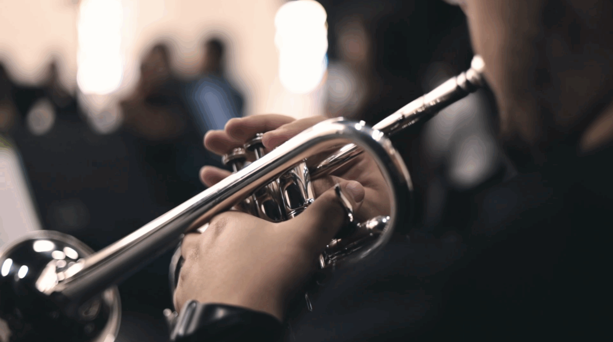 Screenshot 2024-12-31 at 1.14.36 PM